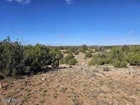 Tiny photo for Sec.12 T14N,R16E: SE4,SE4,SE4, Heber, AZ 85928 (MLS # 259812)
