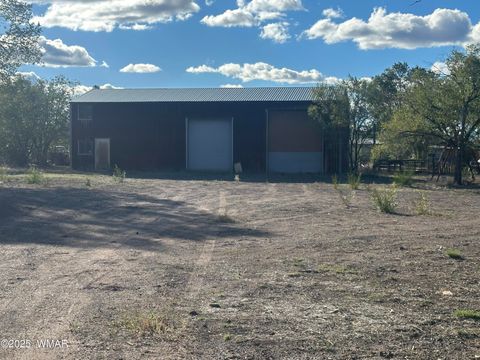 Tiny photo for 109 US-180, Springerville, AZ 85938 (MLS # 258425)