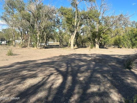 Tiny photo for 109 US-180, Springerville, AZ 85938 (MLS # 258425)