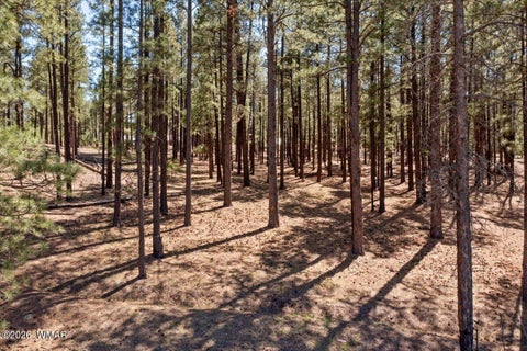 Tiny photo for TBD County Road 2325, Alpine, AZ 85920 (MLS # 260720)