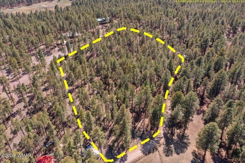 Tiny photo for TBD County Road 2325, Alpine, AZ 85920 (MLS # 260720)