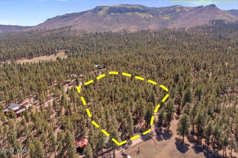 Tiny photo for TBD County Road 2325, Alpine, AZ 85920 (MLS # 260720)
