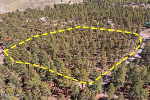 Photo of TBD County Road 2325, Alpine, AZ 85920 (MLS # 260720)