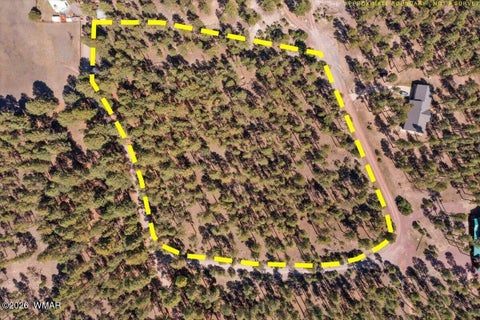 Tiny photo for TBD County Road 2325, Alpine, AZ 85920 (MLS # 260720)