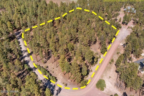 Tiny photo for TBD County Road 2325, Alpine, AZ 85920 (MLS # 260720)
