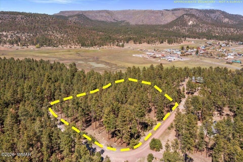 Tiny photo for TBD County Road 2325, Alpine, AZ 85920 (MLS # 260720)