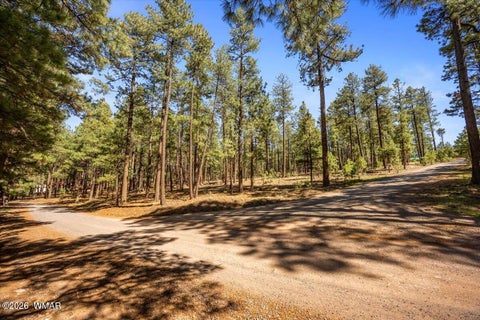 Tiny photo for TBD County Road 2325, Alpine, AZ 85920 (MLS # 260720)