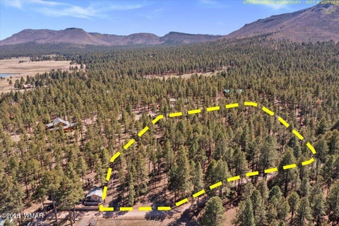 Tiny photo for TBD County Road 2325, Alpine, AZ 85920 (MLS # 260720)