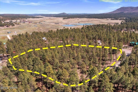 Tiny photo for TBD County Road 2325, Alpine, AZ 85920 (MLS # 260720)