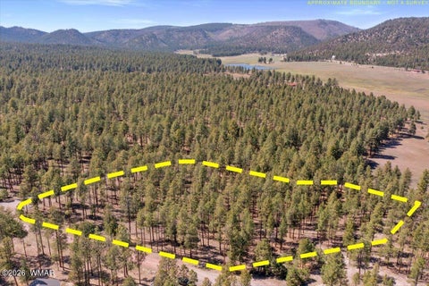 Tiny photo for TBD County Road 2325, Alpine, AZ 85920 (MLS # 260720)