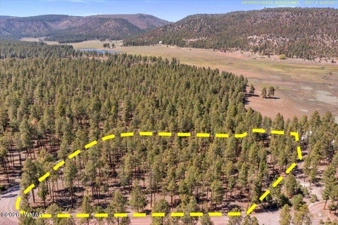 Tiny photo for TBD County Road 2325, Alpine, AZ 85920 (MLS # 260720)