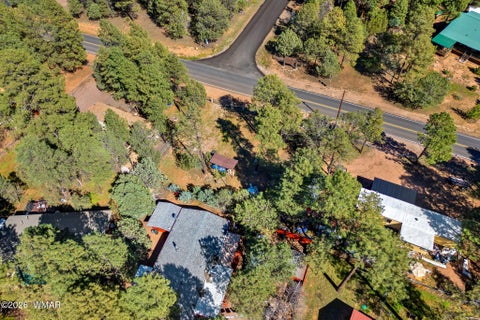 Tiny photo for 2936 Mogollon Drive, Overgaard, AZ 85933 (MLS # 263421)
