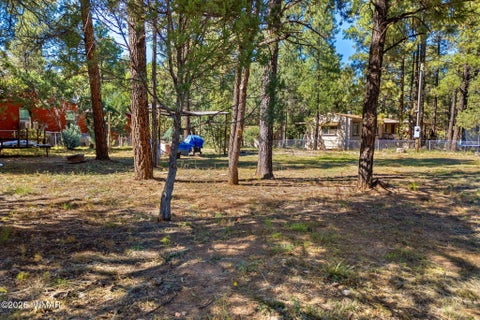 Tiny photo for 2936 Mogollon Drive, Overgaard, AZ 85933 (MLS # 263421)