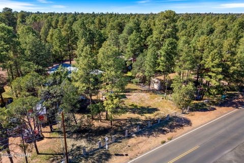 Tiny photo for 2936 Mogollon Drive, Overgaard, AZ 85933 (MLS # 263421)