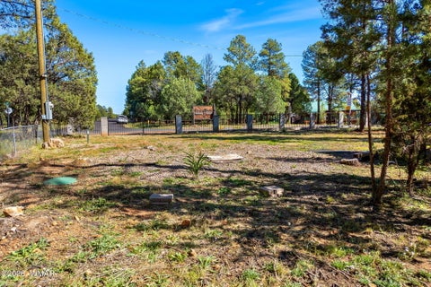 Tiny photo for 2936 Mogollon Drive, Overgaard, AZ 85933 (MLS # 263421)