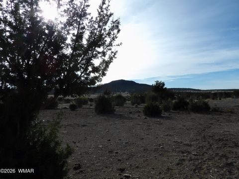 Tiny photo for Lot 14B N3411, Vernon, AZ 85940 (MLS # 259702)