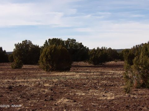 Tiny photo for Lot 14B N3411, Vernon, AZ 85940 (MLS # 259702)
