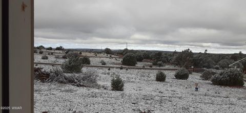 Tiny photo for 1793 Sunnyview Lane, Clay Springs, AZ 85923 (MLS # 257459)