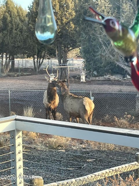 Tiny photo for 939 Mountain Trail, Show Low, AZ 85901 (MLS # 260683)