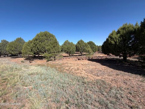 Tiny photo for 939 Mountain Trail, Show Low, AZ 85901 (MLS # 260683)