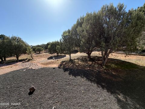 Tiny photo for 939 Mountain Trail, Show Low, AZ 85901 (MLS # 260683)