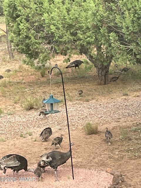 Tiny photo for 939 Mountain Trail, Show Low, AZ 85901 (MLS # 260683)