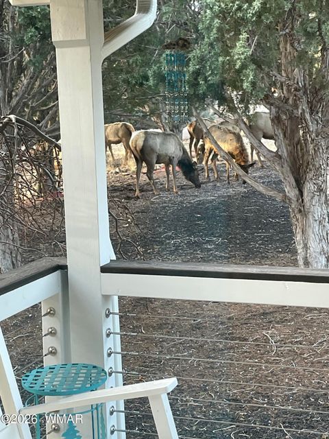 Tiny photo for 939 Mountain Trail, Show Low, AZ 85901 (MLS # 260683)