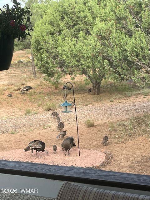 Tiny photo for 939 Mountain Trail, Show Low, AZ 85901 (MLS # 260683)