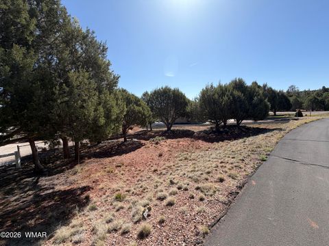 Tiny photo for 939 Mountain Trail, Show Low, AZ 85901 (MLS # 260683)