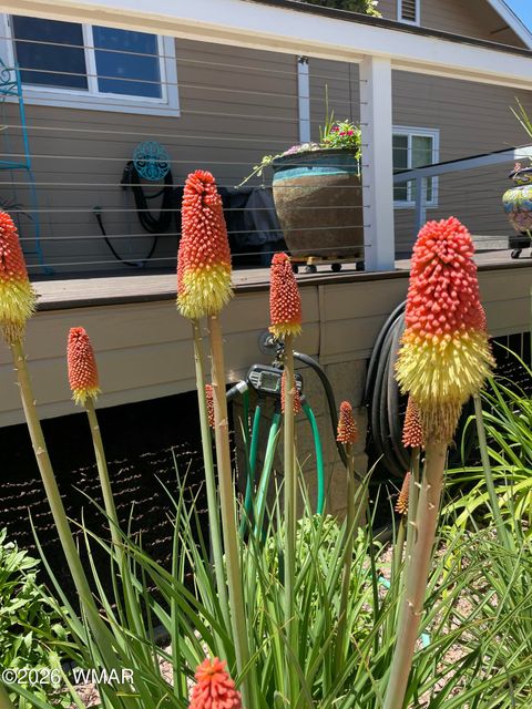 Tiny photo for 939 Mountain Trail, Show Low, AZ 85901 (MLS # 260683)