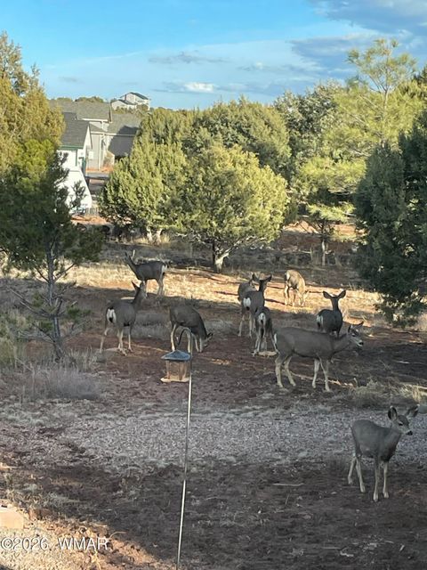 Tiny photo for 939 Mountain Trail, Show Low, AZ 85901 (MLS # 260683)