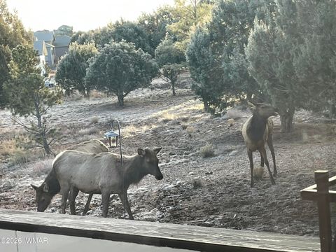 Tiny photo for 939 Mountain Trail, Show Low, AZ 85901 (MLS # 260683)