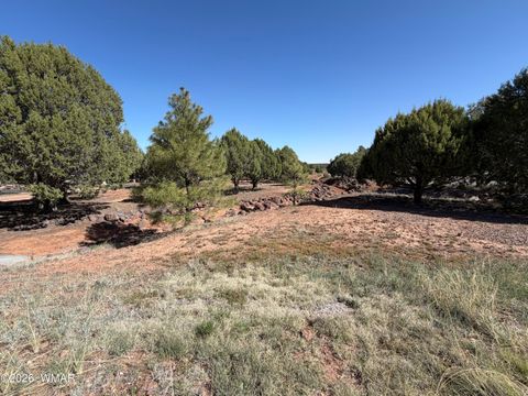 Tiny photo for 939 Mountain Trail, Show Low, AZ 85901 (MLS # 260683)