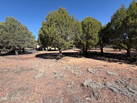 Tiny photo for 939 Mountain Trail, Show Low, AZ 85901 (MLS # 260683)