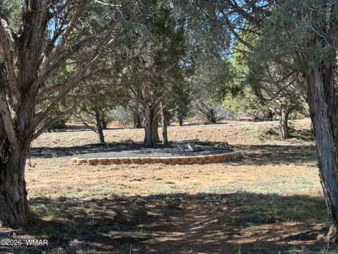 Tiny photo for 939 Mountain Trail, Show Low, AZ 85901 (MLS # 260683)