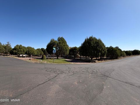 Tiny photo for 939 Mountain Trail, Show Low, AZ 85901 (MLS # 260683)