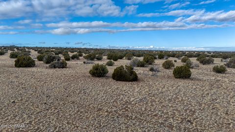 Tiny photo for TBD Shumway Road, Shumway, AZ 85901 (MLS # 259410)