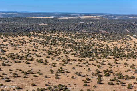 Tiny photo for TBD Shumway Road, Shumway, AZ 85901 (MLS # 259410)