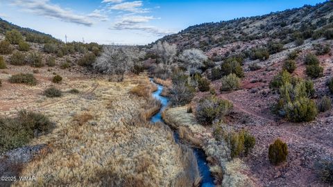 Tiny photo for TBD Shumway Road, Shumway, AZ 85901 (MLS # 259410)