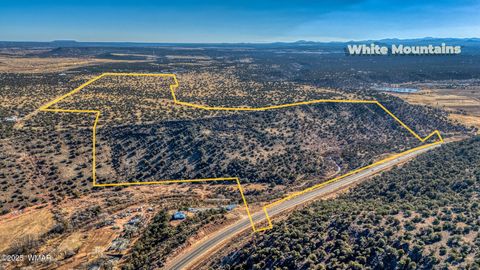 Tiny photo for TBD Shumway Road, Shumway, AZ 85901 (MLS # 259410)