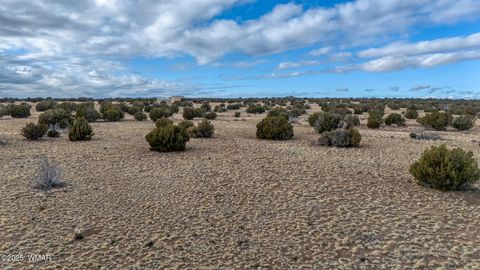 Tiny photo for TBD Shumway Road, Shumway, AZ 85901 (MLS # 259410)