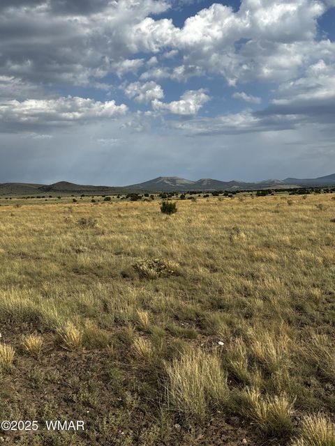 Tiny photo for 53C County Road 3373, Concho, AZ 85924 (MLS # 258864)