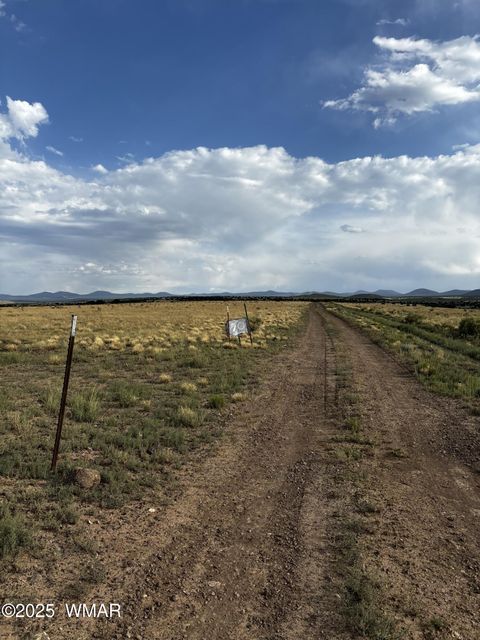 Tiny photo for 53C County Road 3373, Concho, AZ 85924 (MLS # 258864)