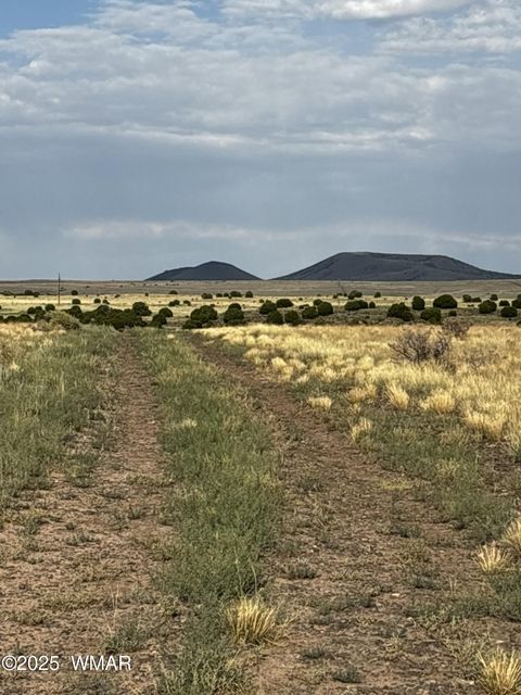 Tiny photo for 53C County Road 3373, Concho, AZ 85924 (MLS # 258864)