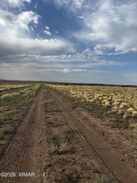 Photo of 53C County Road 3373, Concho, AZ 85924 (MLS # 258864)