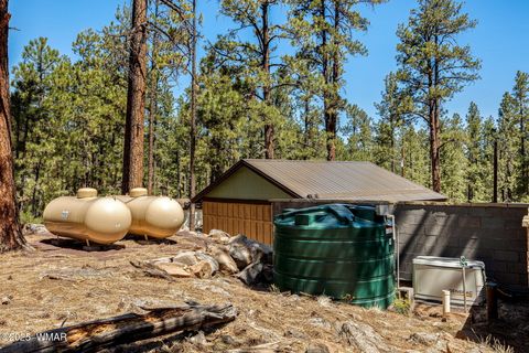 Tiny photo for 3 County Road 1058, Greer, AZ 85927 (MLS # 256224)