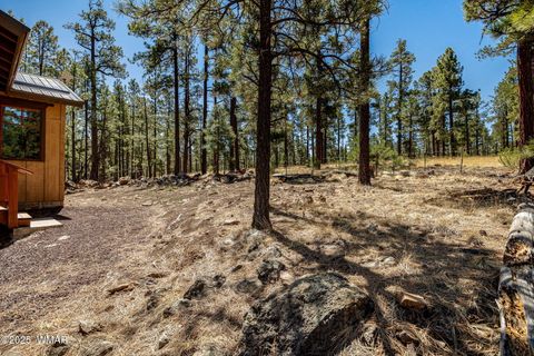 Tiny photo for 3 County Road 1058, Greer, AZ 85927 (MLS # 256224)