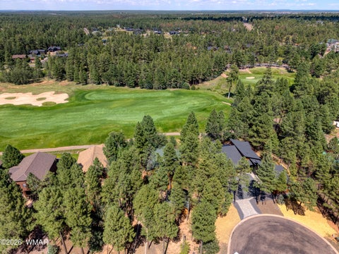 Tiny photo for 2600 W Snowberry Loop, Show Low, AZ 85901 (MLS # 263029)
