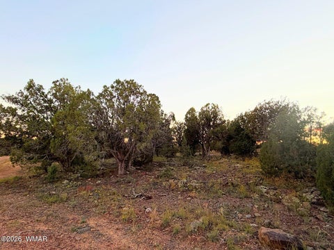 Tiny photo for 8332 Skyline Drive, Show Low, AZ 85901 (MLS # 263604)