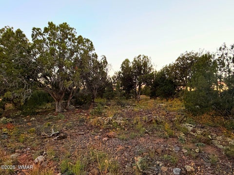 Tiny photo for 8332 Skyline Drive, Show Low, AZ 85901 (MLS # 263604)